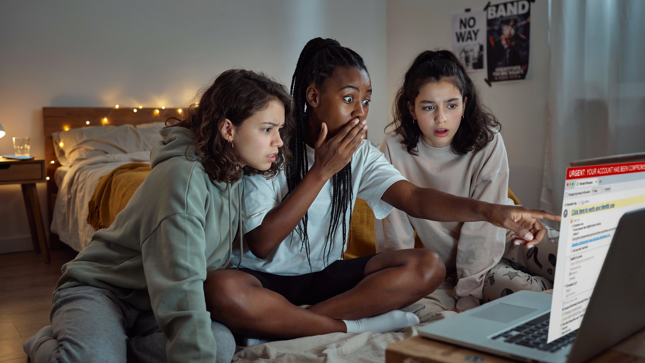 Online Fraud